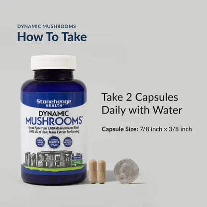 Stonehenge Health Dynamic Mushroom Complex - 60 Veggie Capsules NORTH WAVE   SCENTORA