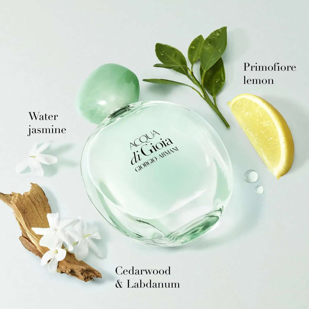 Giorgio Armani Acqua di Gioia Eau de Parfum, 100ml Armani Beauty   SCENTORA