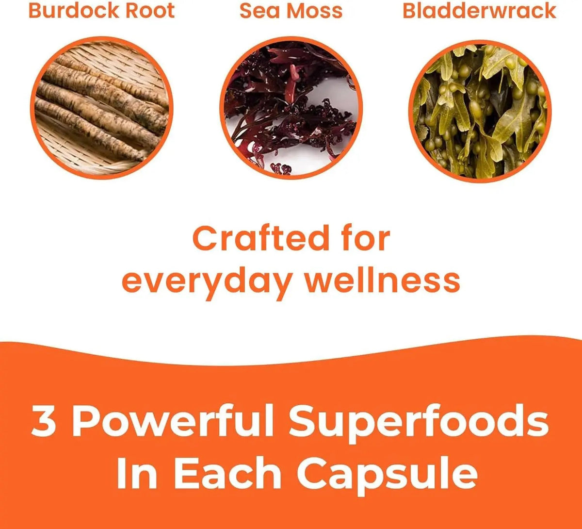 INFINITE AGE 1250mg Sea Moss Advanced Superfood Capsules - High-Potency Vegan Supplement - 60 Count NORTH WAVE   SCENTORA
