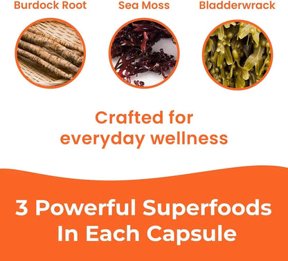 INFINITE AGE 1250mg Sea Moss Advanced Superfood Capsules - High-Potency Vegan Supplement - 60 Count NORTH WAVE   SCENTORA