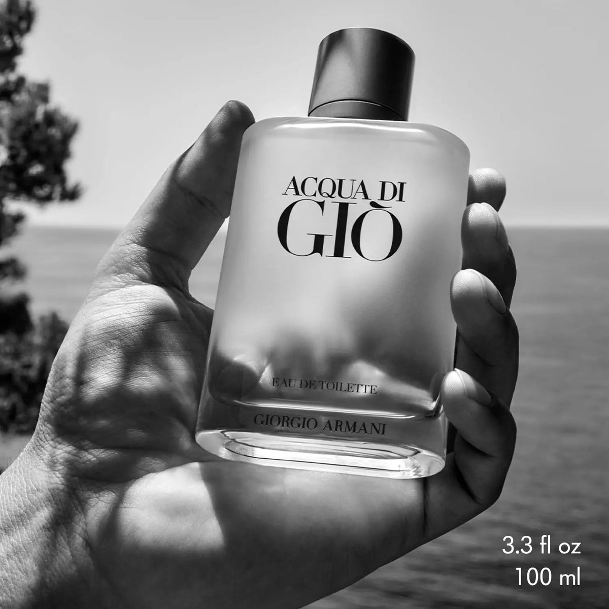 Giorgio Armani Acqua Di Gio Eau de Toilette, 3.3oz Armani Beauty   SCENTORA