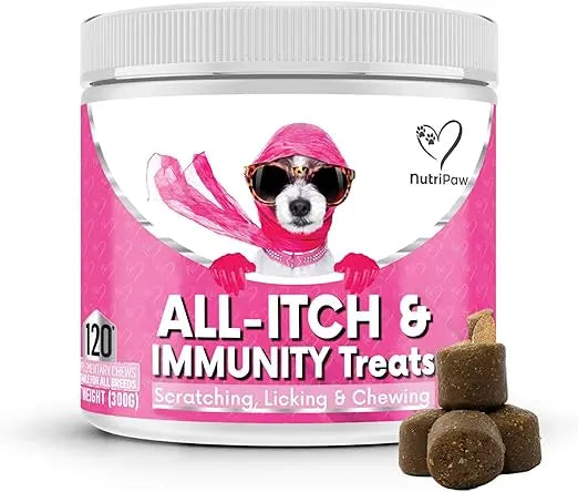 NutriPaw All-Itch & Immunity Daily Treats for Dogs – Skin, Coat & Allergy Support SCENTORA   SCENTORA