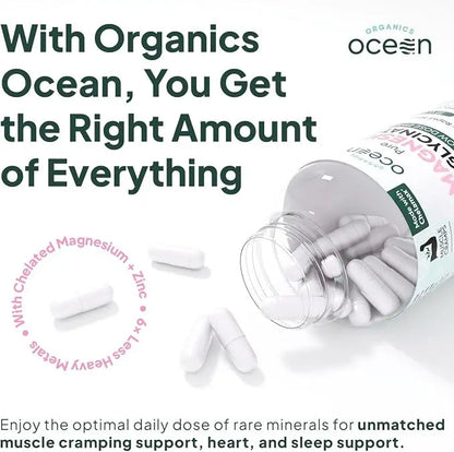 Organics Ocean Pure Magnesium Glycinate & Chelated Zinc | 90 Capsules NORTH WAVE   SCENTORA
