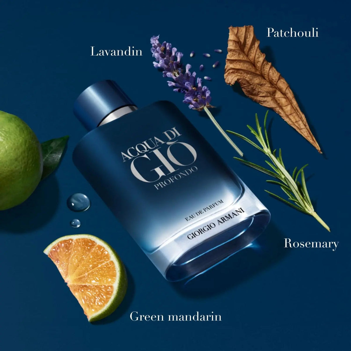 Giorgio Armani Acqua Di Gio Eau de Toilette, 3.4oz Armani Beauty   SCENTORA