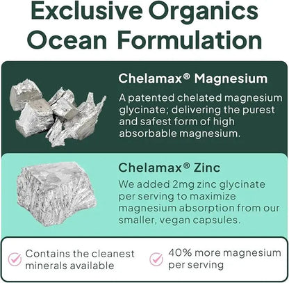 Organics Ocean Pure Magnesium Glycinate & Chelated Zinc | 90 Capsules NORTH WAVE   SCENTORA