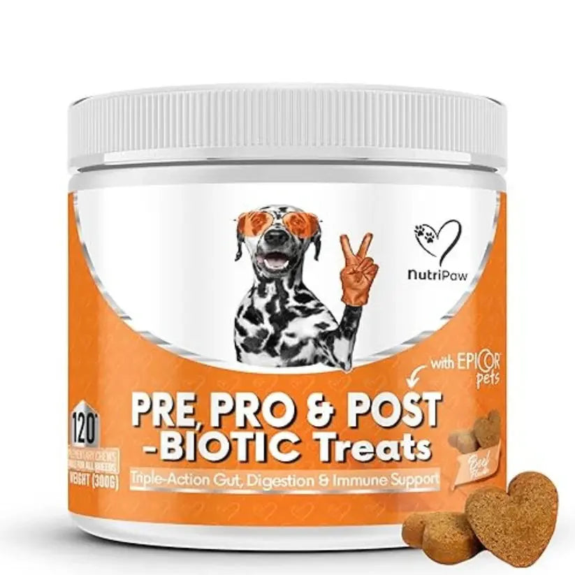 NutriPaw Pre, Pro & Postbiotic Digestive Treats for Dogs – Sensitive Tums, Scooting & Gut Health SCENTORA   SCENTORA