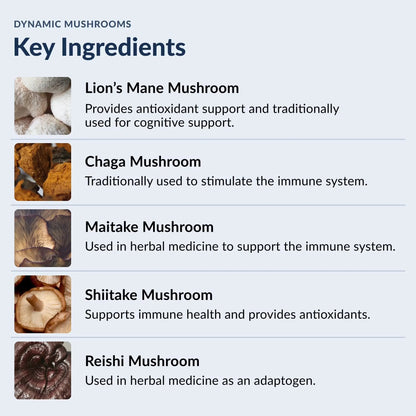 Stonehenge Health Dynamic Mushroom Complex - 60 Veggie Capsules NORTH WAVE   SCENTORA